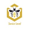 SENIOR LEVEL